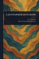 bokomslag A Jayhawker in Europe