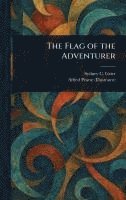 bokomslag Flag of the Adventurer