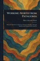 bokomslag Working North From Patagonia