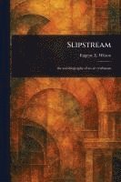 bokomslag Slipstream