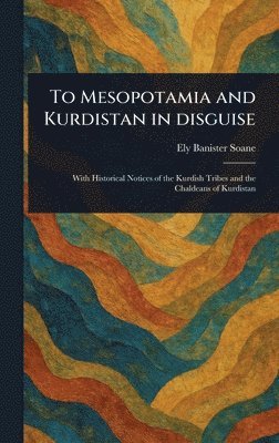 bokomslag To Mesopotamia and Kurdistan in Disguise