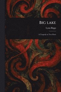 bokomslag Big Lake