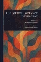 bokomslag The Poetical Works of David Gray