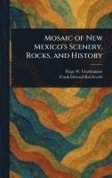 bokomslag Mosaic of New Mexico's Scenery, Rocks, and History
