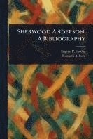 Sherwood Anderson 1