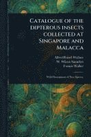 bokomslag Catalogue of the Dipterous Insects Collected at Singapore and Malacca