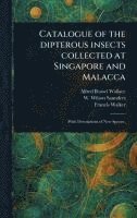 bokomslag Catalogue of the Dipterous Insects Collected at Singapore and Malacca