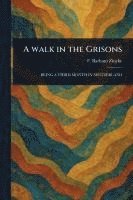 A Walk in the Grisons 1