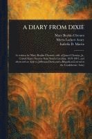 bokomslag Diary from Dixie