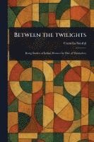 bokomslag Between the Twilights