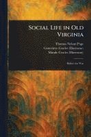 bokomslag Social Life in Old Virginia