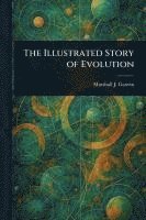 bokomslag Illustrated Story of Evolution