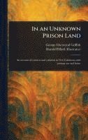 In an Unknown Prison Land 1