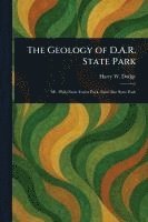 bokomslag Geology of D.A.R. State Park