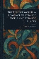 bokomslag The Perfect World