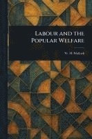 bokomslag Labour and the Popular Welfare