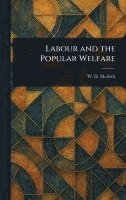bokomslag Labour and the Popular Welfare