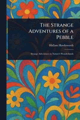 bokomslag Strange Adventures of a Pebble