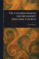 bokomslag The Colored Man in the Methodist Episcopal Church