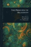 bokomslag The Principle of Relativity