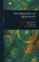 bokomslag Principle of Relativity