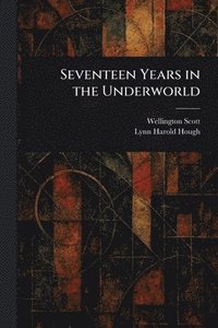 bokomslag Seventeen Years in the Underworld