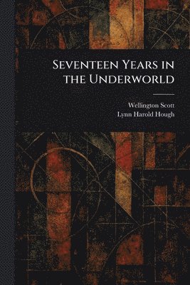bokomslag Seventeen Years in the Underworld