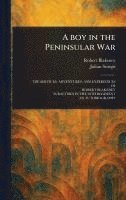 bokomslag Boy in the Peninsular War