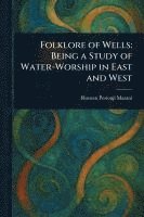 bokomslag Folklore of Wells: Being a Study of Water-Worship in East and West
