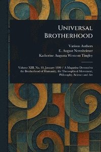 bokomslag Universal Brotherhood