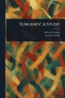bokomslag Turgenev