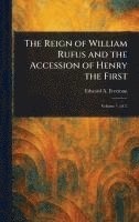 bokomslag The Reign of William Rufus and the Accession of Henry the First