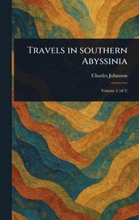 bokomslag Travels in Southern Abyssinia