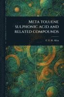 bokomslag Meta Toluene Sulphonic Acid and Related Compounds