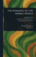 The Romance of the Animal World 1