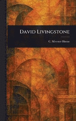 bokomslag David Livingstone