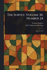 bokomslag Survey, Volume 30, Number 24