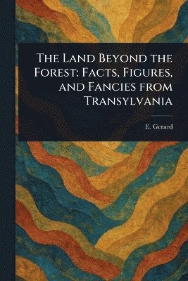 bokomslag Land Beyond the Forest