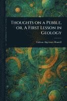 bokomslag Thoughts on a Pebble, or, A First Lesson in Geology