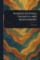 bokomslag Rambles in Istria, Dalmatia and Montenegro