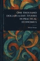 bokomslag One Thousand Dollars a Day. Studies in Practical Economics