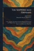 bokomslag The Shipwrecked Orphans
