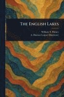 bokomslag The English Lakes
