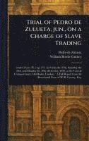bokomslag Trial of Pedro De Zulueta, Jun., on a Charge of Slave Trading