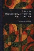 bokomslag Popular Misgovernment in the United States