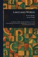 bokomslag Lakeland Words