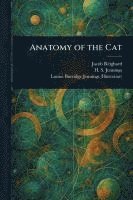 bokomslag Anatomy of the Cat