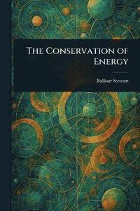 bokomslag Conservation of Energy