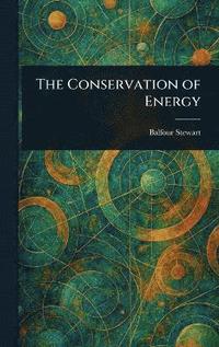 bokomslag Conservation of Energy