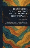 bokomslag Cambrian Tourist, or, Post-Chaise Companion Through Wales